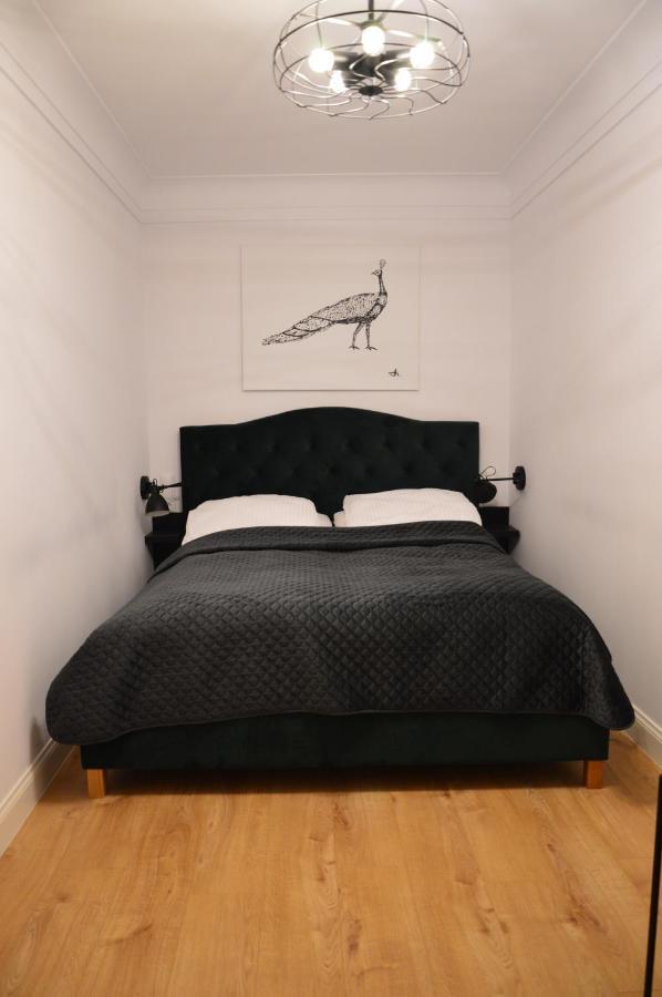 Stary Toruń Apartamenty Szeroka 32 מראה חיצוני תמונה
